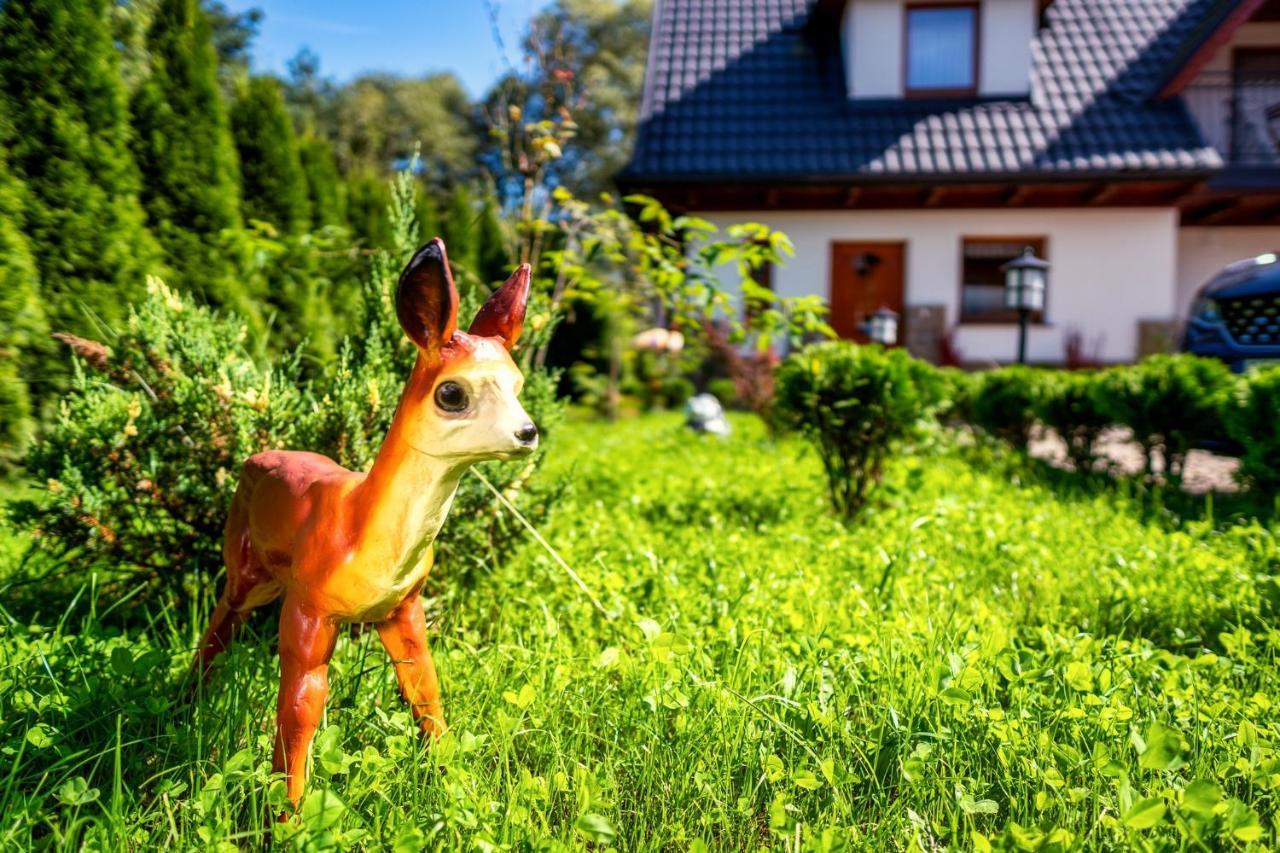 Domek U Eli Czarny Dunajec Buitenkant foto